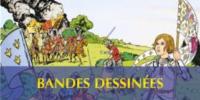 Bandes dessines (BD) et albums illustrs