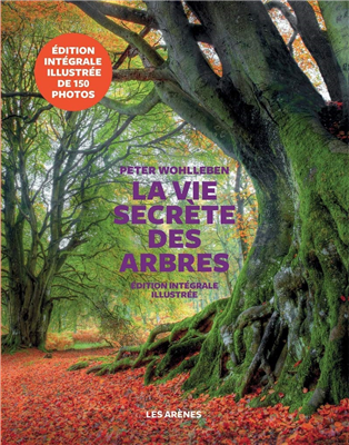 La vie secrète des arbres (édition illustrée)